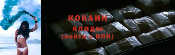 хмурый Бородино