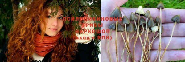 jwh Бугульма