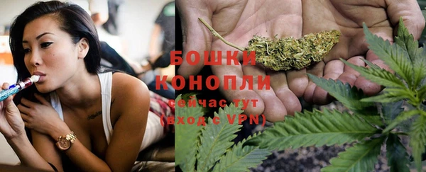 хмурый Бородино