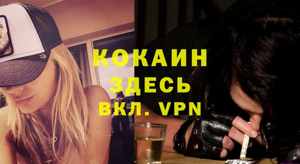 хмурый Бородино