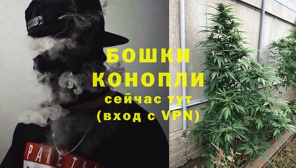 хмурый Бородино