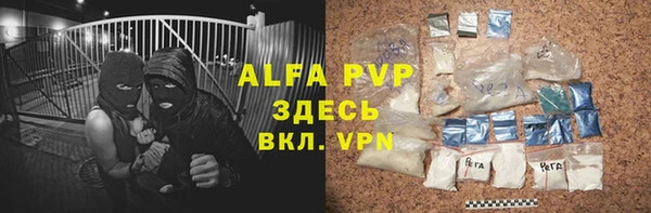 хмурый Бородино