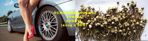 амф Бронницы